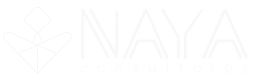 NAYA Consultores